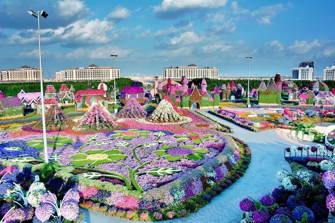 Dubai Miracle Garden 2016 - 2017 Season opening date