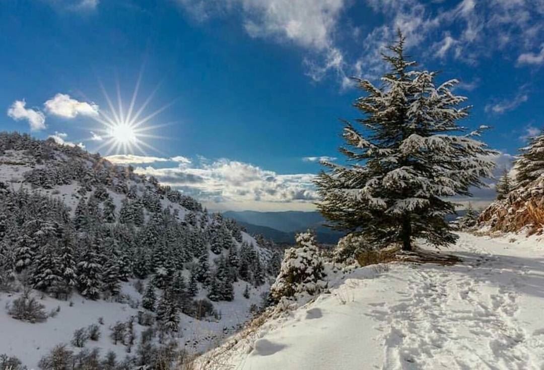 Amazing Snapshots of Winter in Lebanon