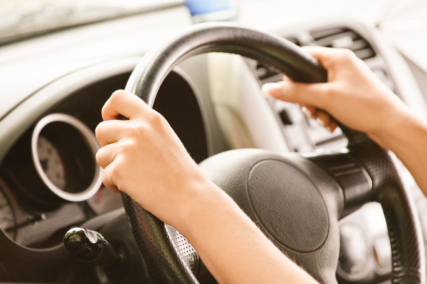 List and Numbers of Authorized Driving Schools in Dubai