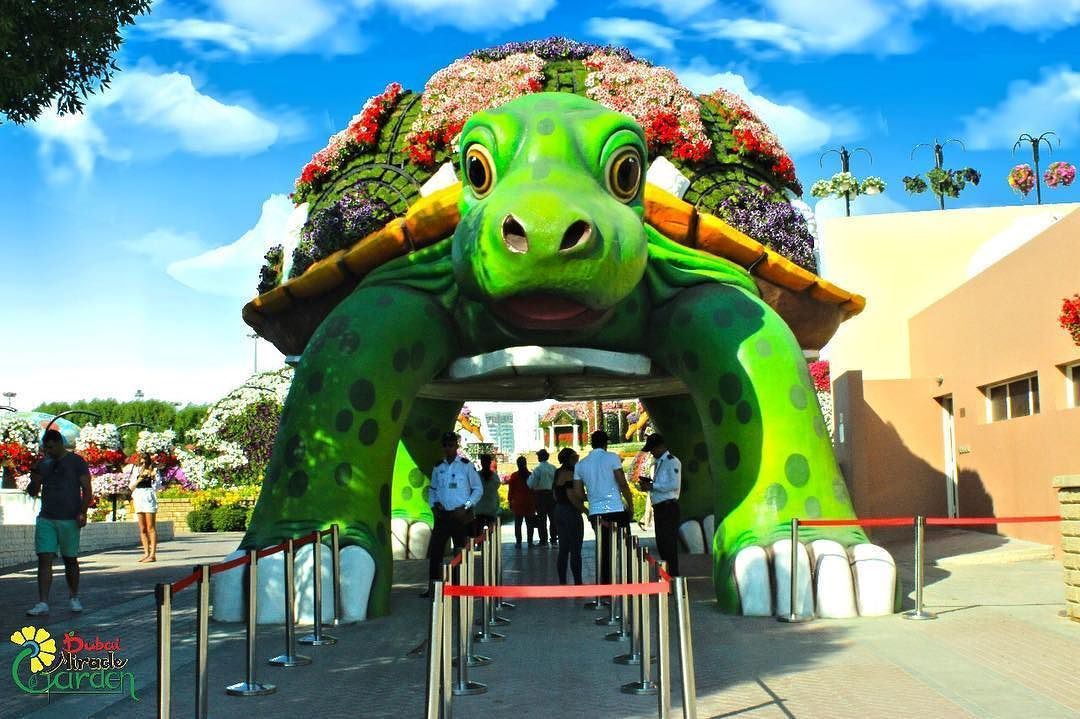 Dubai Miracle Garden Opening Date and Tickets Price for Season 2017 - 2018 