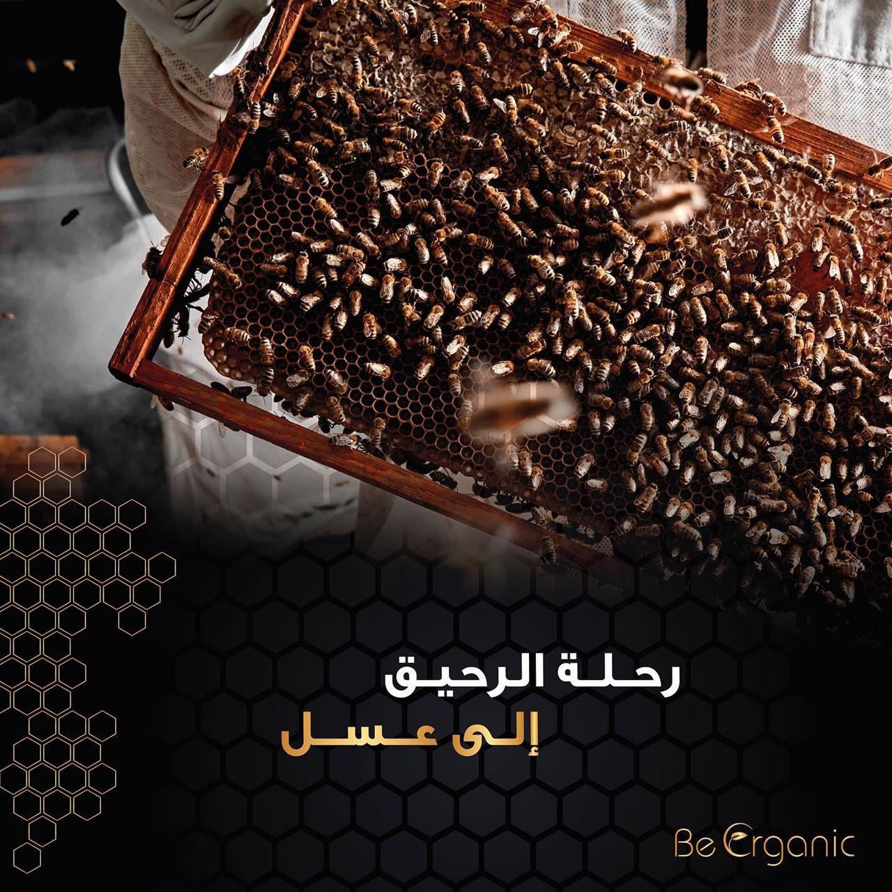 تعرف على تفاصيل رحلة النحل من الرحيق الى العسل
