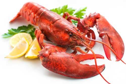 أم الربيان ، استاكوزا ، كركند ، شارخة ، جراد البحر ، Lobster 