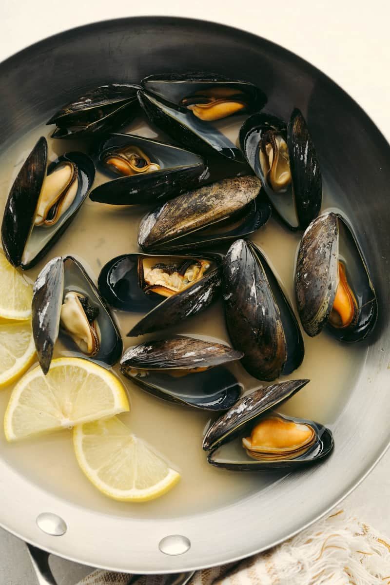 بلح البحر ، Mussels