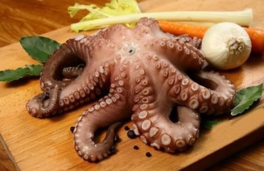 أخطبوط ، قرنيط ، Octopus 	