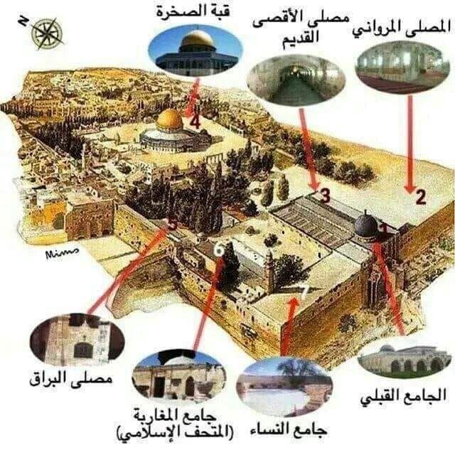 ما هو الفرق بين المسجد الأقصى ومسجد قبة الصخرة؟