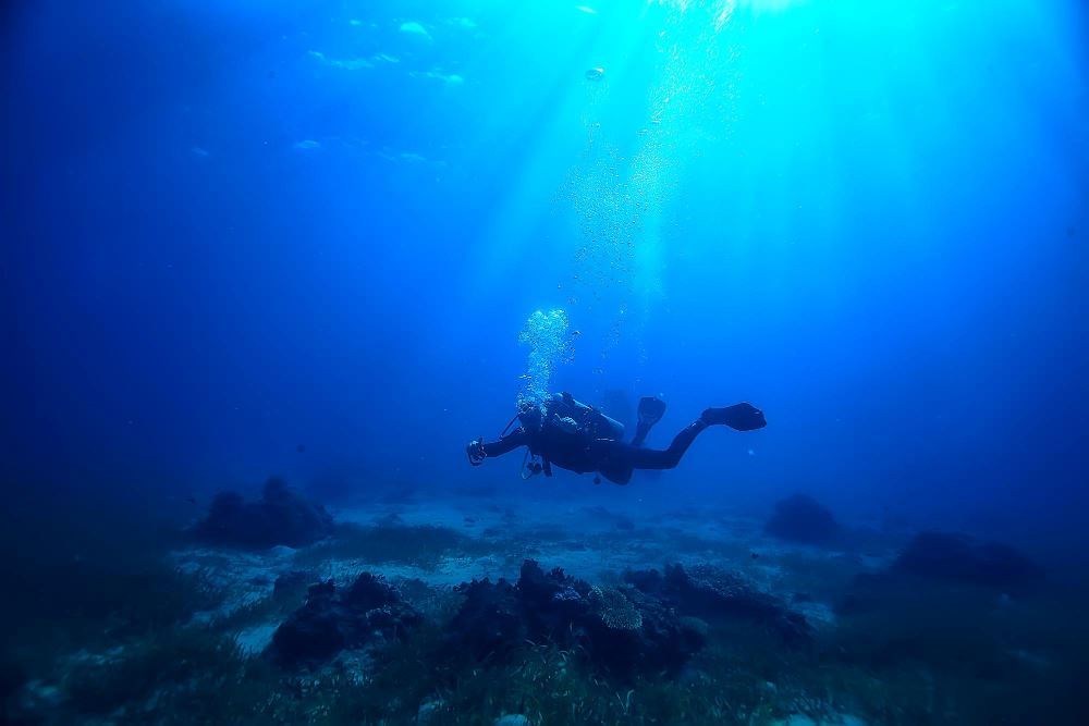 Best Time of the Year to Dive in Maldives