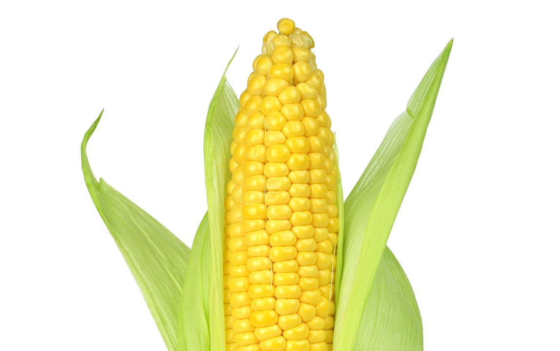 Corn