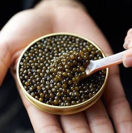 Caviar 