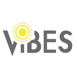 <b>4. </b>VIBES