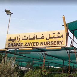 <b>1. </b>Ghafat Zayed Nursery