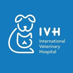 International Veterinary Hospital