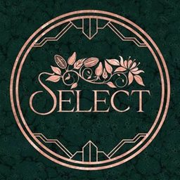 Logo of Select Restaurant (360 Mall) - Kuwait