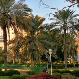 Salmiya Park