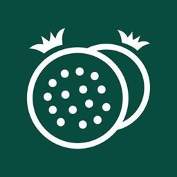 المشوى العنابي -  الربيع (الربيع سكوير)