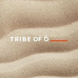 Logo of Tribe of 6 (Avenues) - Kuwait