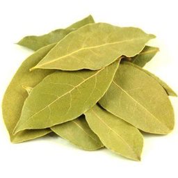 Bay Leaf