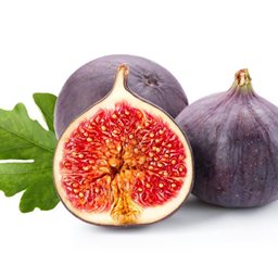 Fig