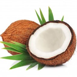 Logo of Coconut