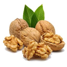 Walnut