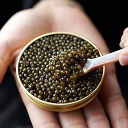 Caviar 