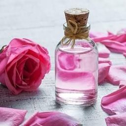 Rose Water