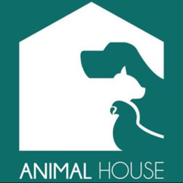 Animal House Veterinary Hospital - Salmiya, Kuwait 